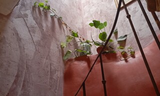 Photo N° 6