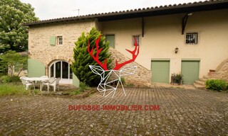 Photo N° 6