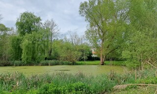 Photo N° 3