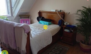 Photo N° 6