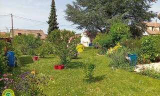 Photo N° 16