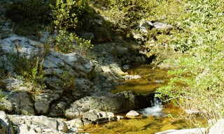 Photo N° 4