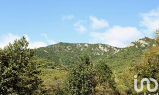 Photo N° 6