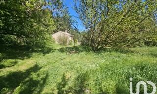 Photo N° 5