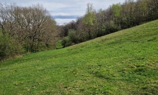 Photo N° 4