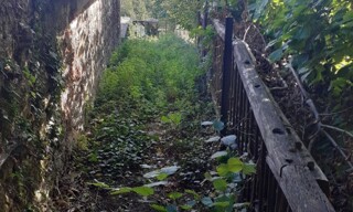 Photo N° 3