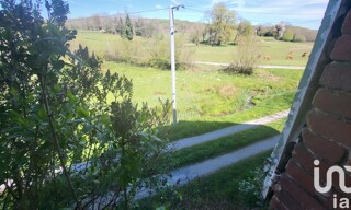 Photo N° 7