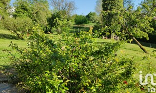 Photo N° 4