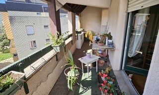 Photo N° 6