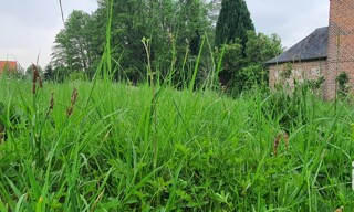 Photo N° 4