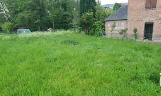Photo N° 5