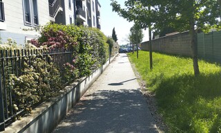 Photo N° 6