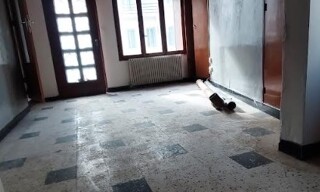 Photo N° 4