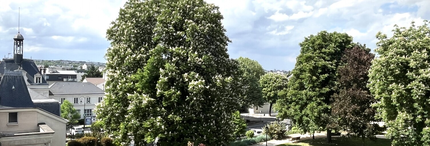 Appartement 1 Pièce 28 m² à vendre à Bry-sur-Marne (94360)