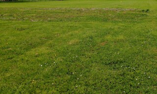 Terrain  897 m² à vendre à Pigny (18110)