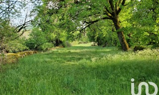 Photo N° 4