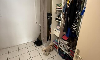 Photo N° 6