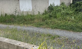 Photo N° 5