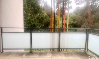 Photo N° 7
