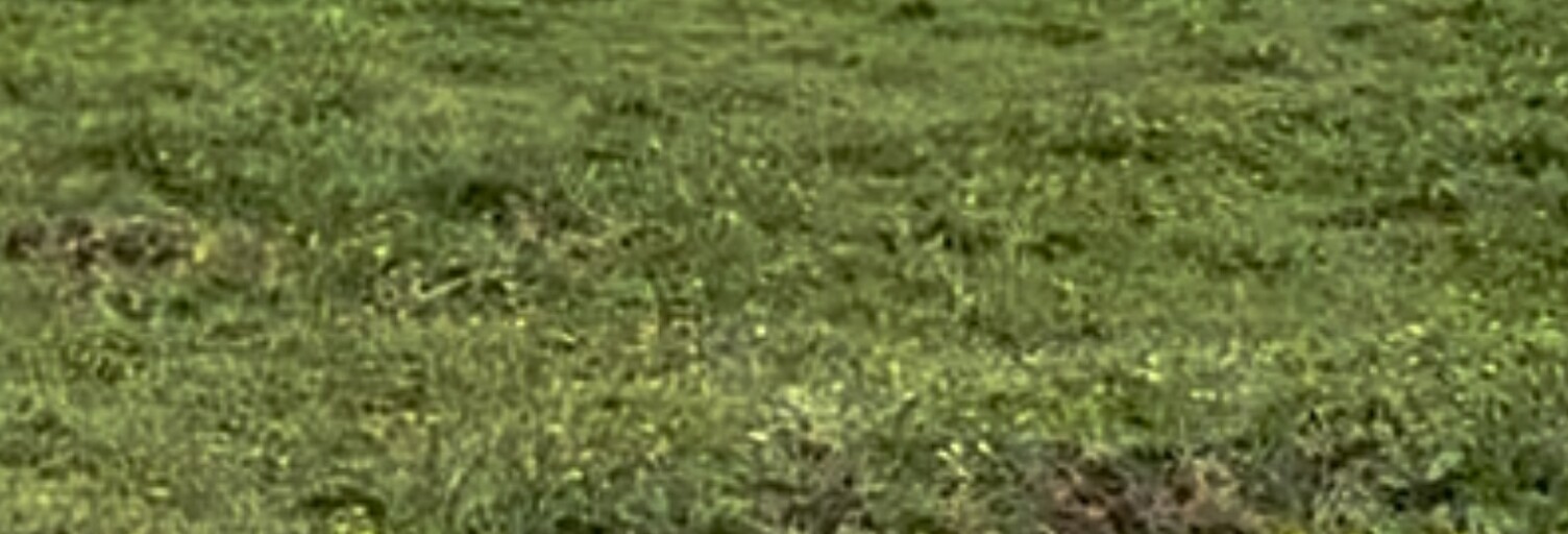 Terrain  40759 m² à vendre à Ambarès-et-Lagrave (33440)