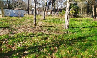 Terrain  850 m² à vendre à Noaillan (33730)