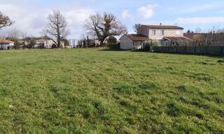 Photo N° 3