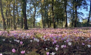 Terrain  380 m² à vendre à Artigues-près-Bordeaux (33370)