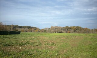 Terrain  1600 m² à vendre à Sigoulès-et-Flaugeac (24240)