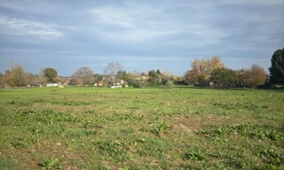 Photo N° 3