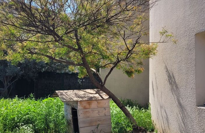 Résidence "Terre de Sienne" - Villa T3 n°E12530022L — photo 2