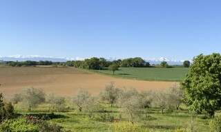 Photo N° 2