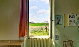 Photo N° 8