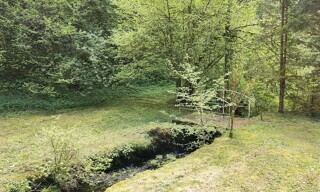 Photo N° 4