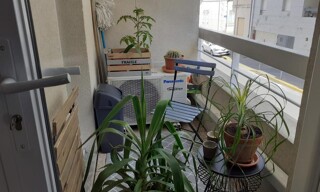 Photo N° 3