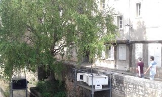 Appartement 2 Pièces 42 m² à louer à Chartres (28000)