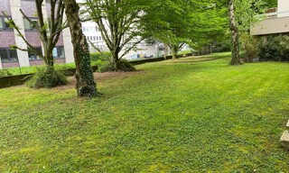 Photo N° 4