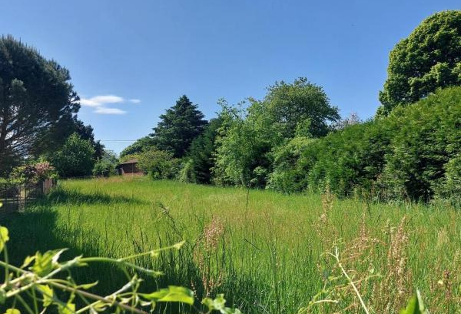 Terrain À Vendre — photo 1