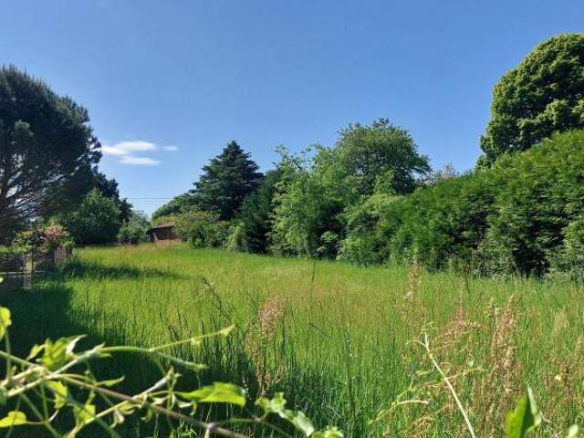 Terrain À Vendre — photo du bien