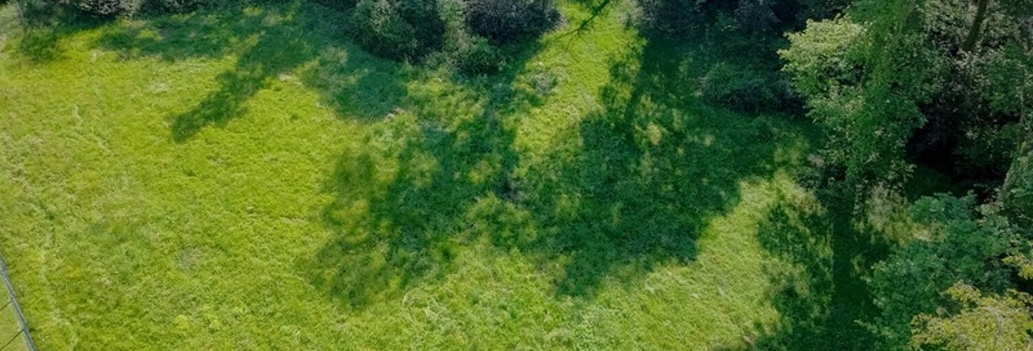 Terrain  5000 m² à vendre à Buros (64160)