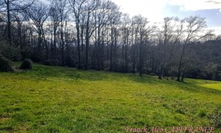 Photo N° 3