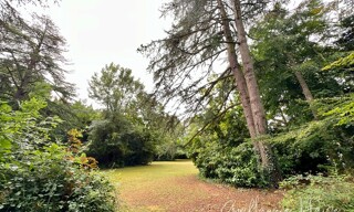 Photo N° 5