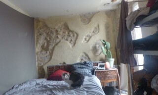 Photo N° 6