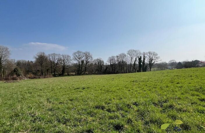 HAUTE VIENNE — photo 2