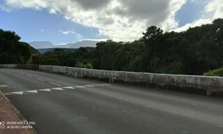 Photo N° 3