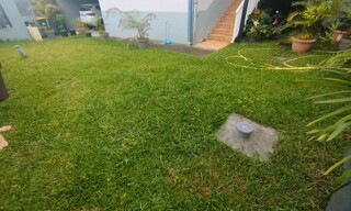 Photo N° 4