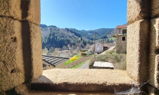Photo N° 16