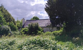 Photo N° 3