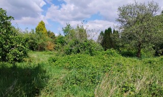 Photo N° 6