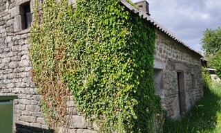 Photo N° 4