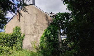 Photo N° 3
